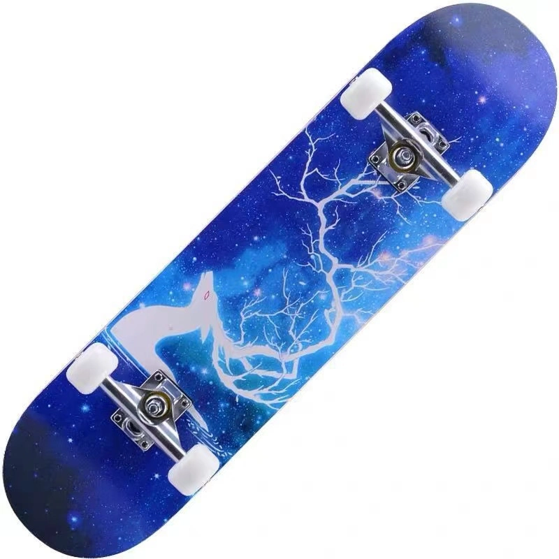 Skate Board Wholesale Beginners Four-Wheel 60cm Maple Deck Long Boards