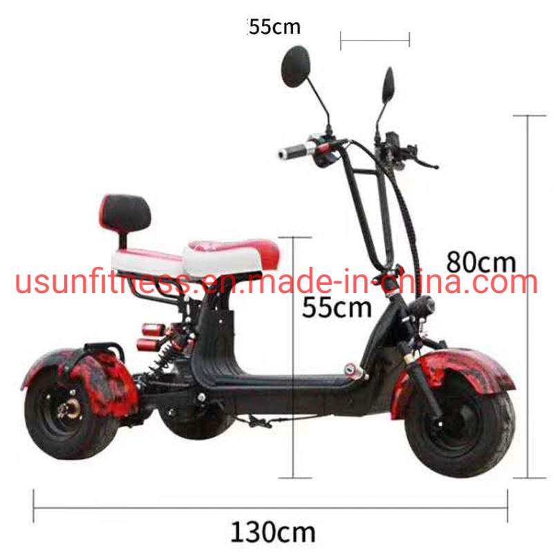 3 Wheels Electric Motorcycles/Tricycle/Trike/Scooter for Kids and Adult