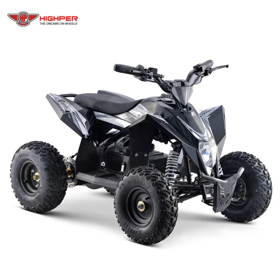 子供用電動クワッド ミニ ATV 4 輪 1000W36V/1300W 48V